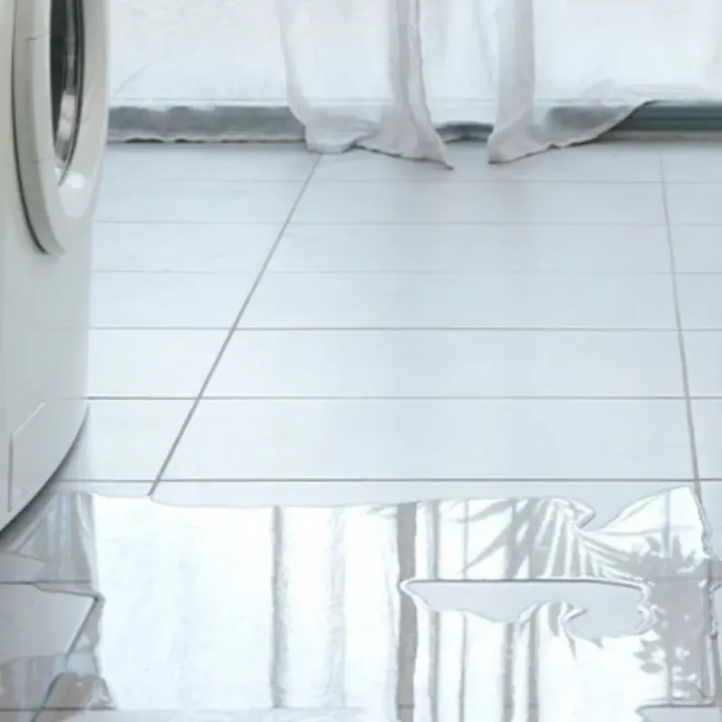 Appliance Leak Cleanup in Haines City, FL